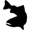 Kootenay Troutfitters logo