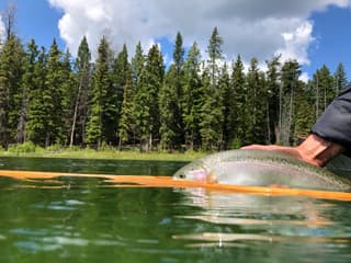 Summer stillwater rainbow